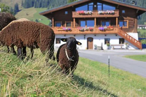 Hörlbauer-Leogang