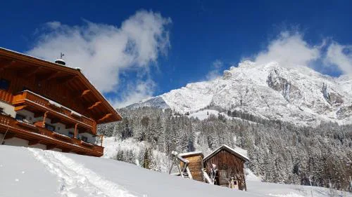 Riedlhof - Leogang