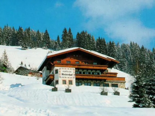 Modern holiday home near the ski area