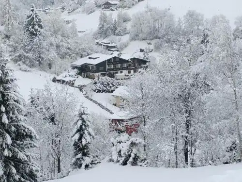 Bergvilla Vivaldi - Happy Mountain Vibes