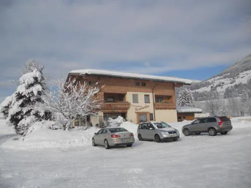 Apartment Wildkogel 1 by Interhome