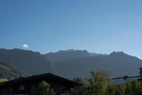 Residenz Wildkogelbahnen Top 12