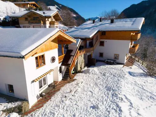 Alpensteinbock Saalbach B