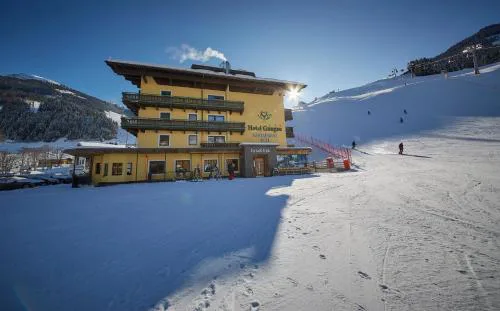 Hotel Gungau