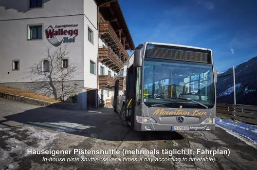 Ski In-Ski Out - Gästehäuser Saalbach-Hinterglemm - Wallegghof Christianhof