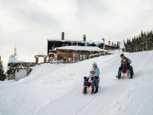 Apartment in Saalfelden near Ski Slopes