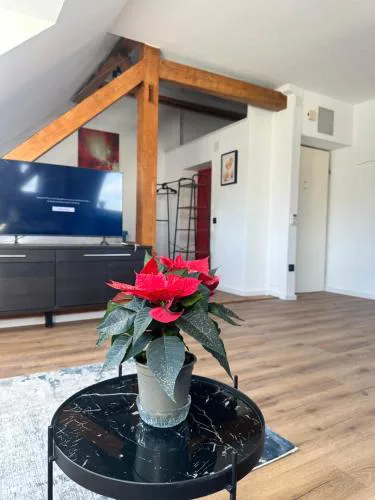 Apartament Salzburg mit Untersberg Ausblick