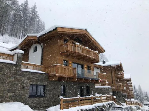 Chalet in Mühlbach near Hochkönig Ski