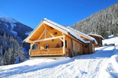 Hütte Höhenegg