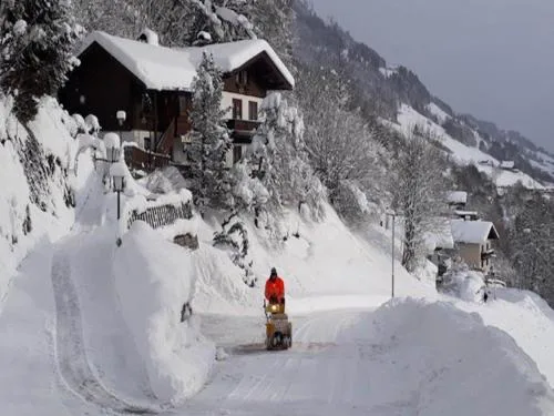 Apartment in Stuhlfelden near Ski Lift