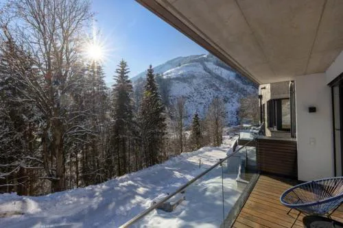 Appartement Schmittenblick Top 2