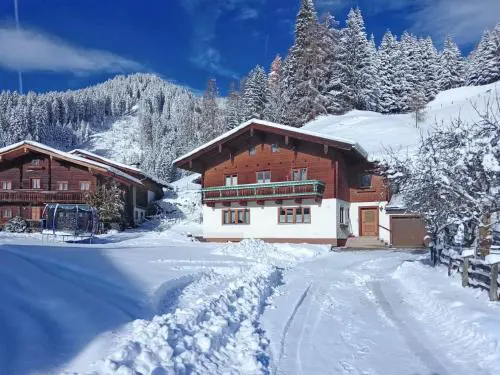 Chalet in Wagrain near Ski Lift
