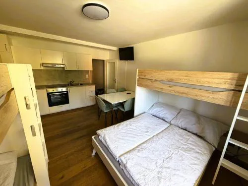 Schönes Ferienappartment in Zell am See: zentral gelegen und Nähe der Areitbahn und dem Zeller See