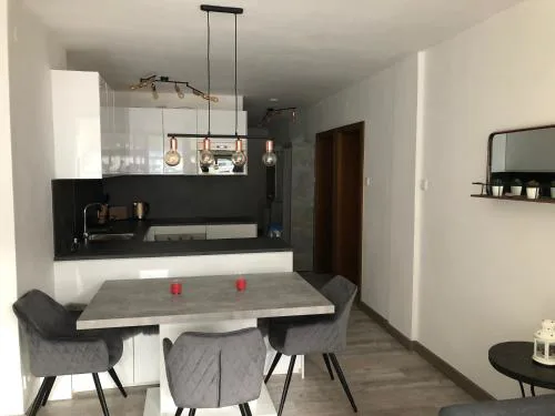 Ski and Lake View Apartment