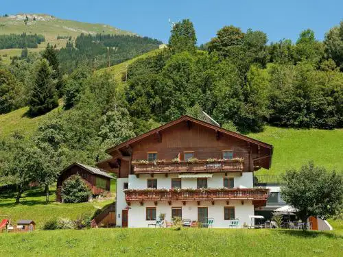 Apartment Hartlbauer in Dorfgastein by Interhome