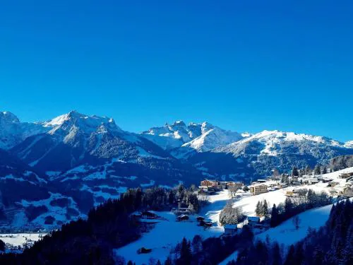 Chalet Emely