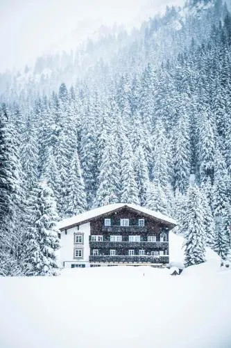 Heimspitze - Alpenhotel SKI-IN & Wirtshaus