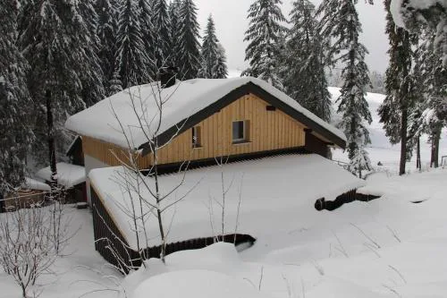 Ferienhaus Waldklause