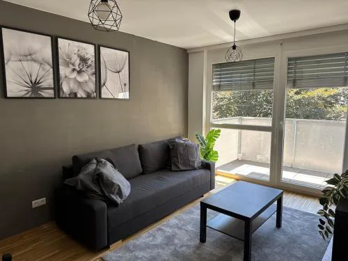 2BR, balcony, central, danube, U6 & S-Bahn - BRN 39