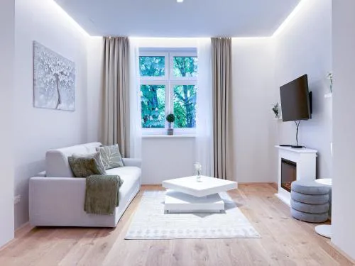 Apartment Charming in Vienna's City Center