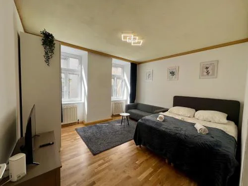 Big Space Apartment