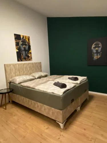 Budget Private Rooms in 8-Bedroom Apartment with Terrace