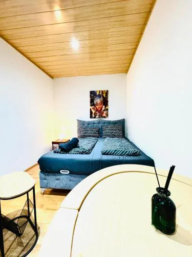Comfortable 4BR Apt for 12 Close to FAC Platz