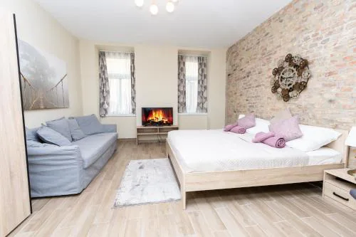 Comfortable romantic 1 bedroom apartment near Augarten