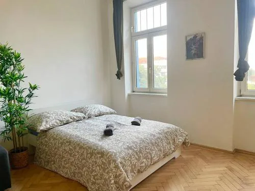 Cozy Studio Long Term Apartment