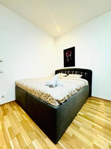 Cozy & Stylish Studio Near Augarten Park