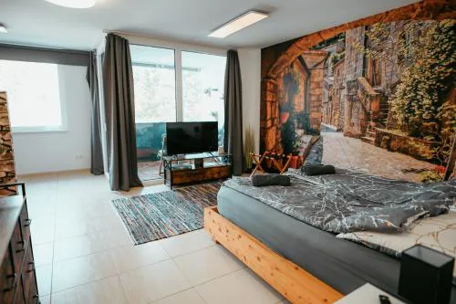 Danube Island Apartment 3
