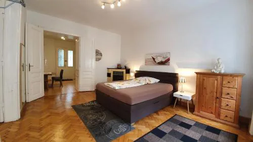 Gorgeous Viennese Apartment 10 min to City Center