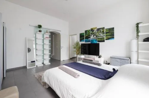 Large Modern City Apartment