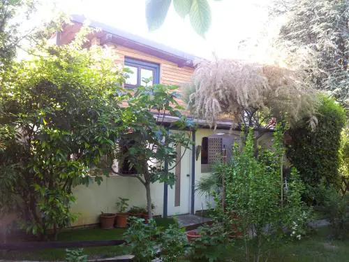 Michael's Nest