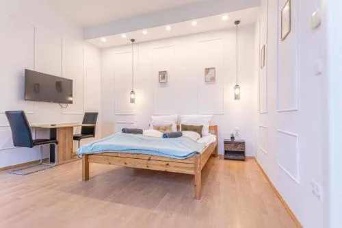 Multiple Apartments and Rooms at The Heart of Vienna