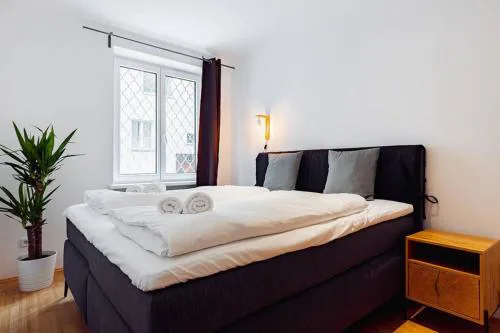 Newly-Renovated, Central City Apartment in the Heart of Vienna