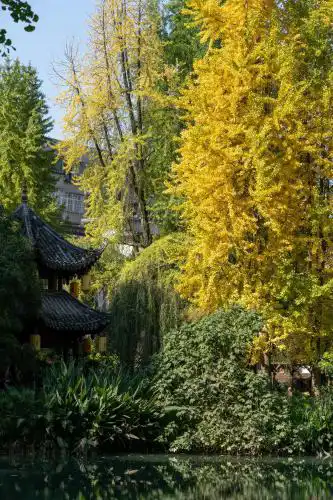 Not bookable