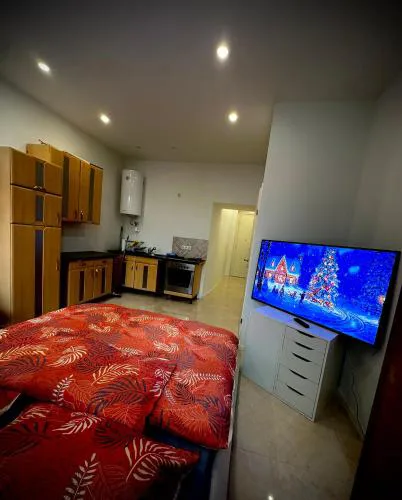 Smart Home Vienna