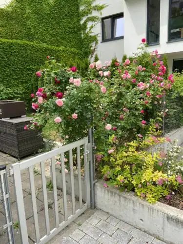 Sweet Home Vienna Townhouse