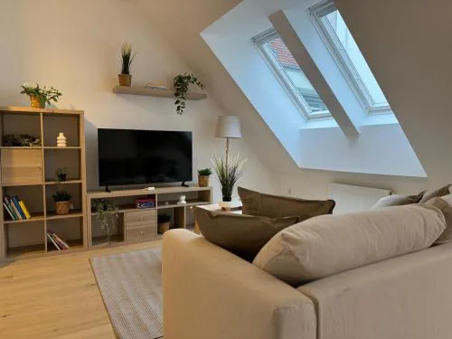 train station, 2BR, Danube, Kahlenberg, Historic - FHG 20