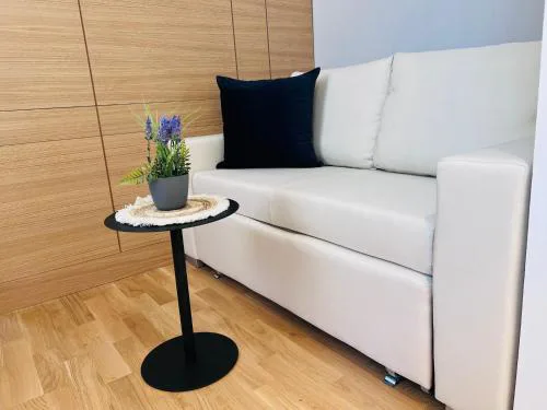 ZEUS Design Apartment Erlach #37