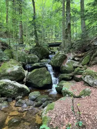 Ferienwohnung Ysperklamm