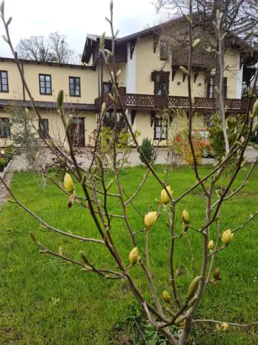Villa Musik - historical apartments, Baden
