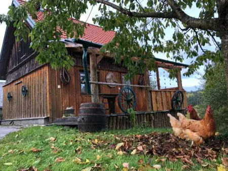 Ferienhaus FRIEDLHOF