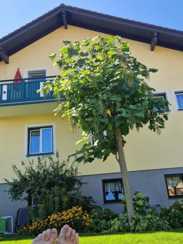 Ferienwohnung am Stadtrand