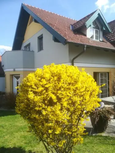 Vronis-Apartment