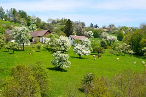 Ferienwohnung Vonwald