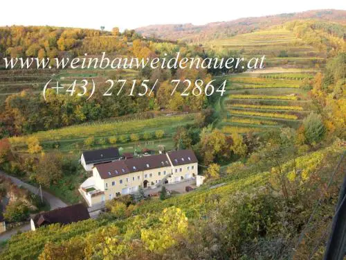 Weinbau Weidenauer