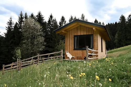 Ferienhaus "Moosgrün" - Tiny House Urlaub