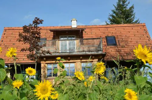 Sonniges Kellerstöckel im Schilcherland